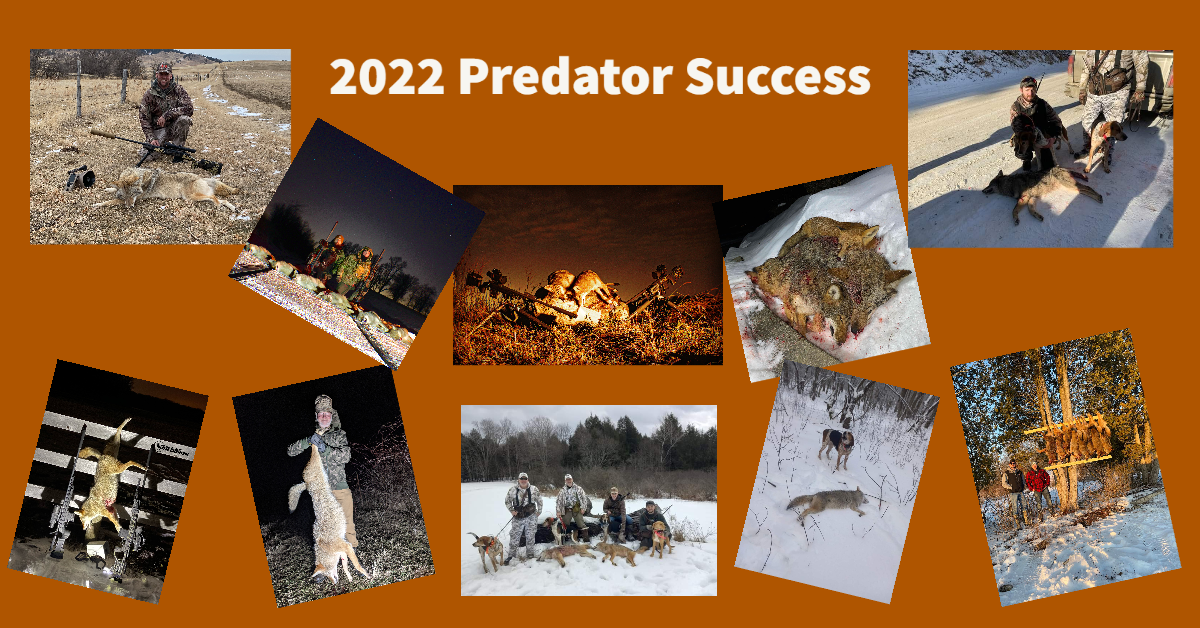 Photo Gallery: 2022 Predator Success